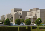 Madayn Research Chair 